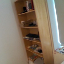 Input view: bookshelf